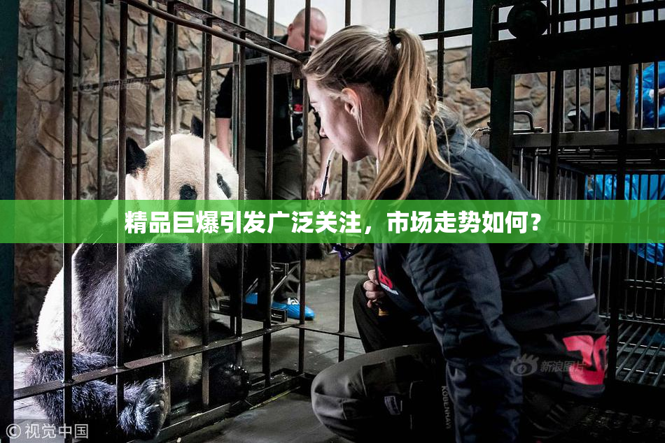 精品巨爆引发广泛关注，市场走势如何？