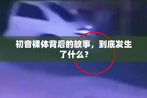 初音裸体背后的故事，到底发生了什么？