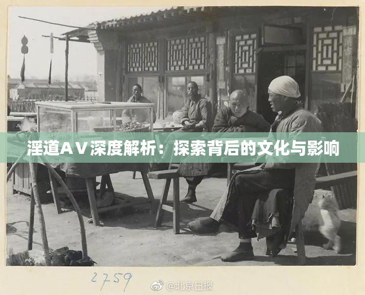 淫道AⅤ深度解析：探索背后的文化与影响