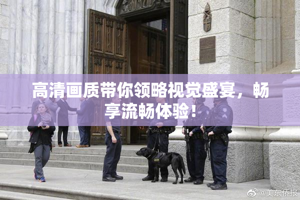 高清画质带你领略视觉盛宴，畅享流畅体验！