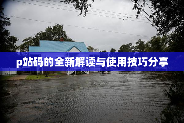 p站码的全新解读与使用技巧分享