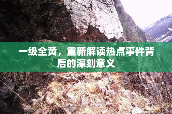 一级全黄，重新解读热点事件背后的深刻意义