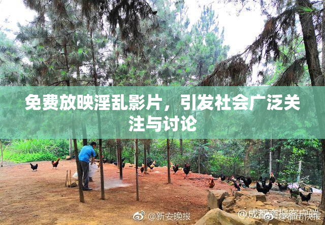 免费放映淫乱影片，引发社会广泛关注与讨论