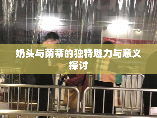 奶头与荫蒂的独特魅力与意义探讨