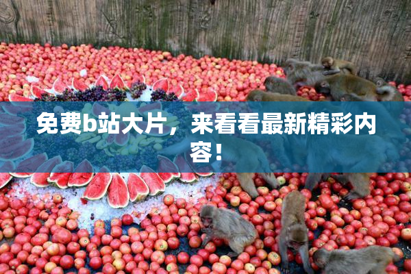 免费b站大片，来看看最新精彩内容！