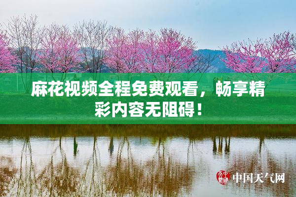麻花视频全程免费观看，畅享精彩内容无阻碍！