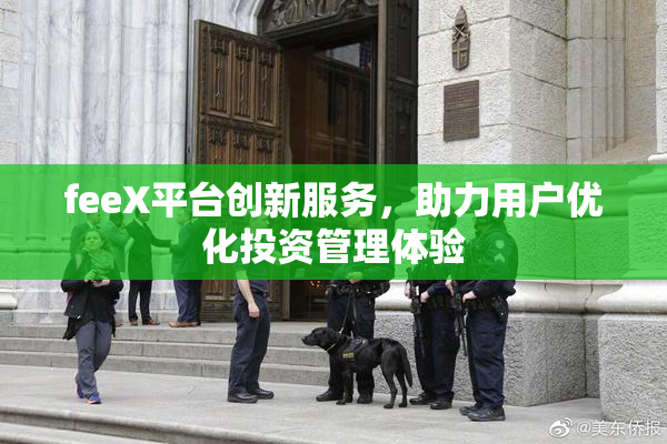 feeX平台创新服务，助力用户优化投资管理体验