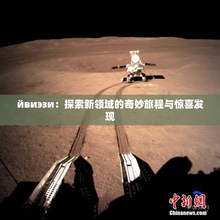 йвиэзи：探索新领域的奇妙旅程与惊喜发现