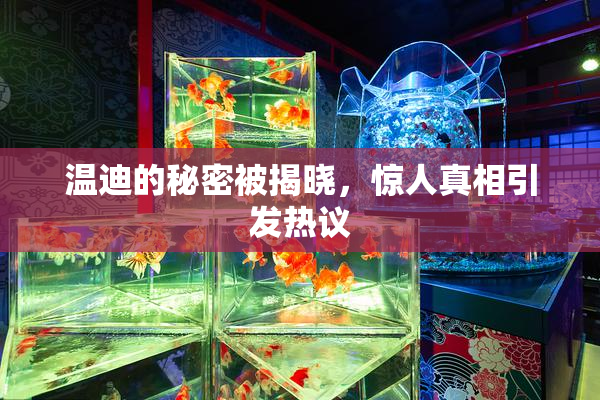 温迪的秘密被揭晓，惊人真相引发热议