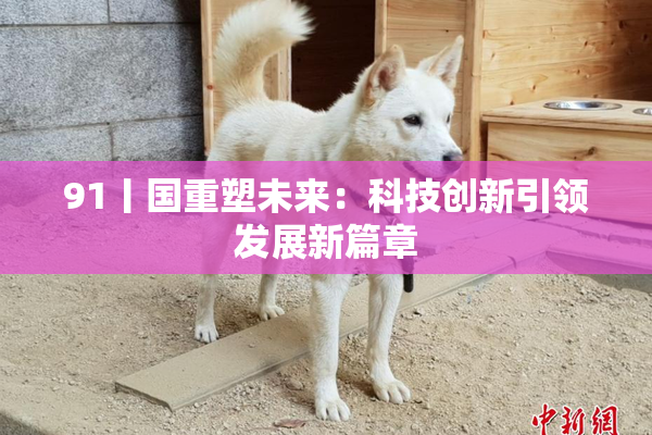 91丨国重塑未来：科技创新引领发展新篇章
