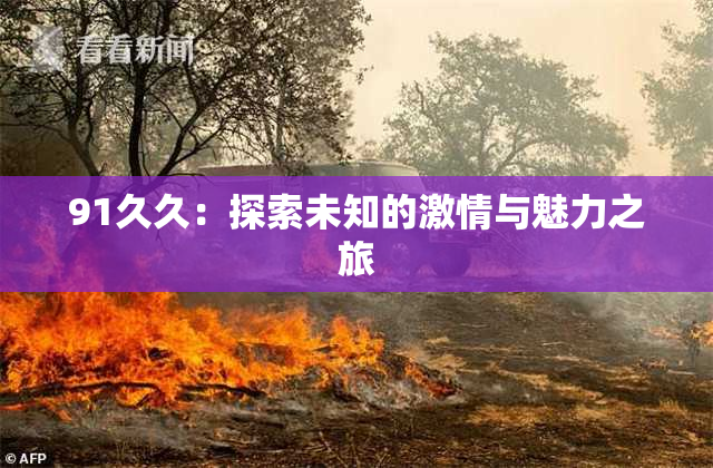91久久：探索未知的激情与魅力之旅
