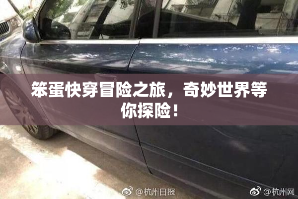 笨蛋快穿冒险之旅，奇妙世界等你探险！