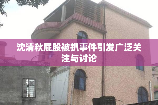 沈清秋屁股被扒事件引发广泛关注与讨论