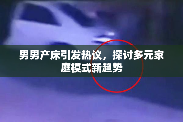 男男产床引发热议，探讨多元家庭模式新趋势