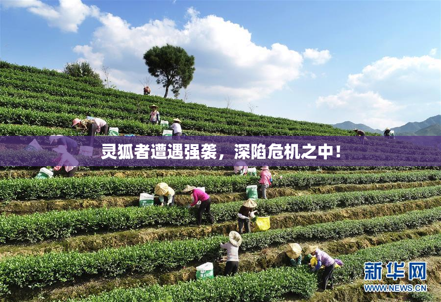 灵狐者遭遇强袭，深陷危机之中！