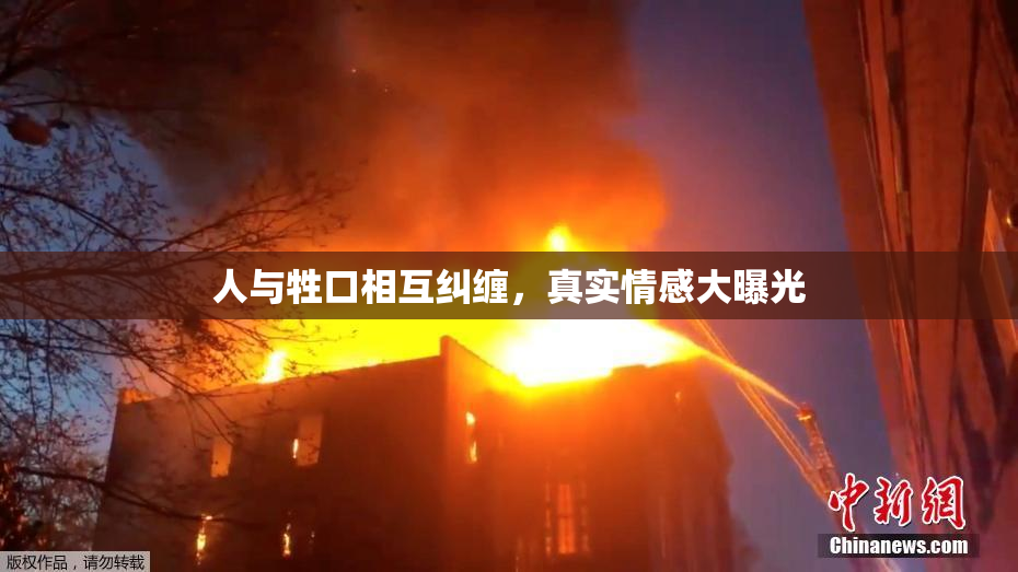 人与牲口相互纠缠，真实情感大曝光