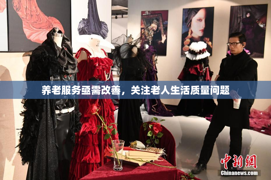 养老服务亟需改善，关注老人生活质量问题