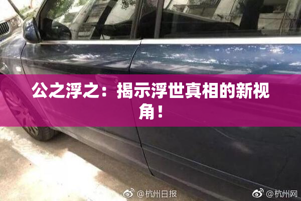 公之浮之：揭示浮世真相的新视角！