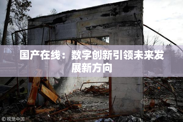 国产在线：数字创新引领未来发展新方向