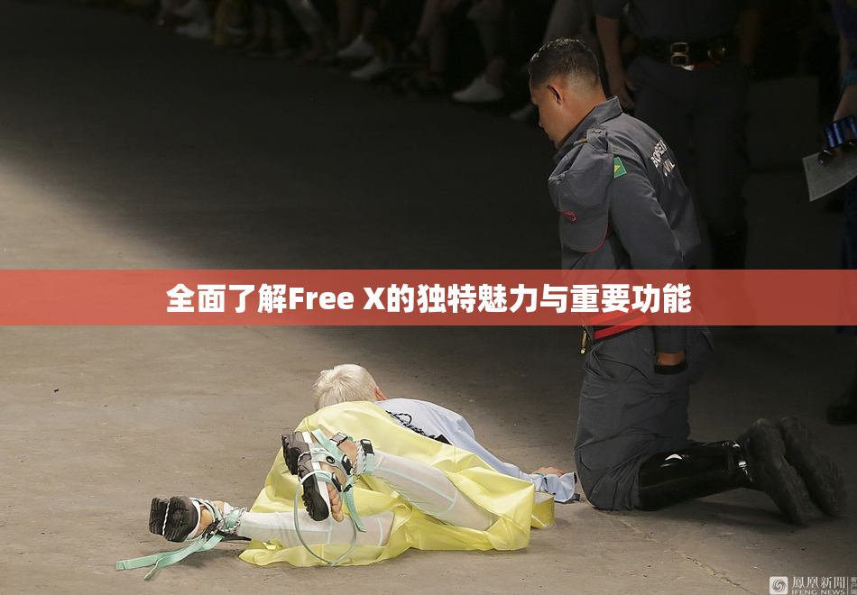 全面了解Free X的独特魅力与重要功能