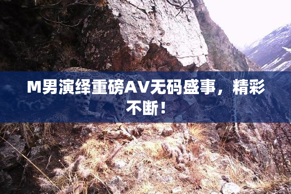 M男演绎重磅AV无码盛事，精彩不断！