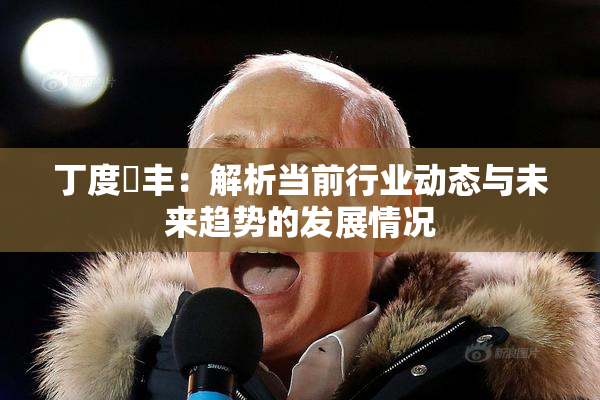 丁度巜丰：解析当前行业动态与未来趋势的发展情况
