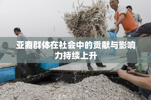 亚裔群体在社会中的贡献与影响力持续上升
