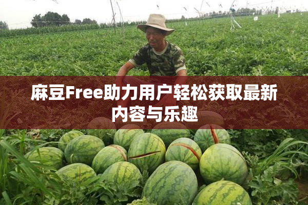 麻豆Free助力用户轻松获取最新内容与乐趣