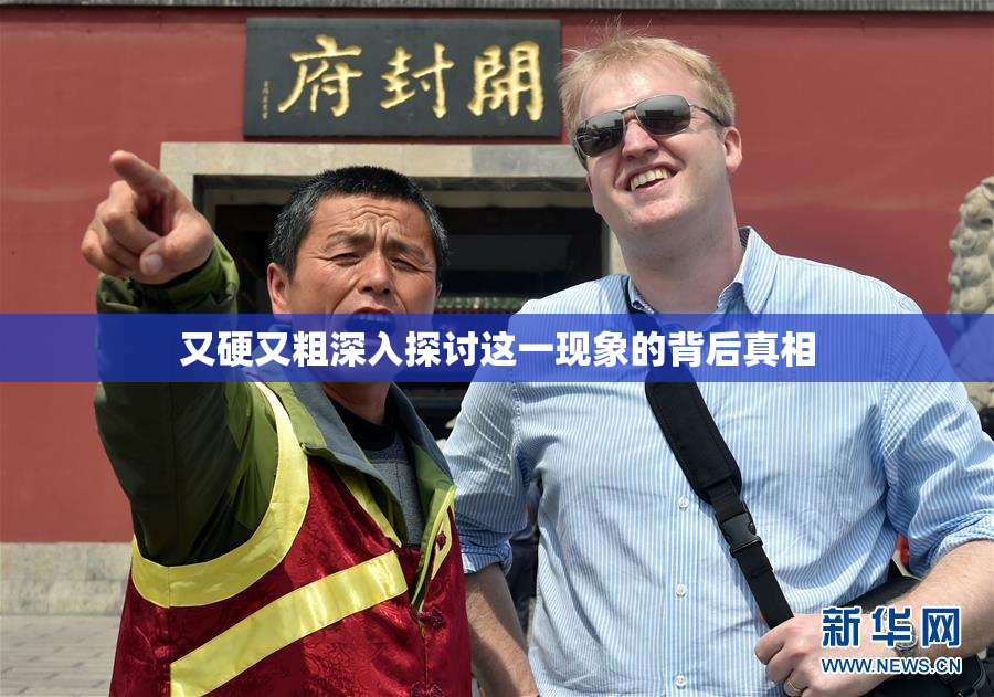 又硬又粗深入探讨这一现象的背后真相
