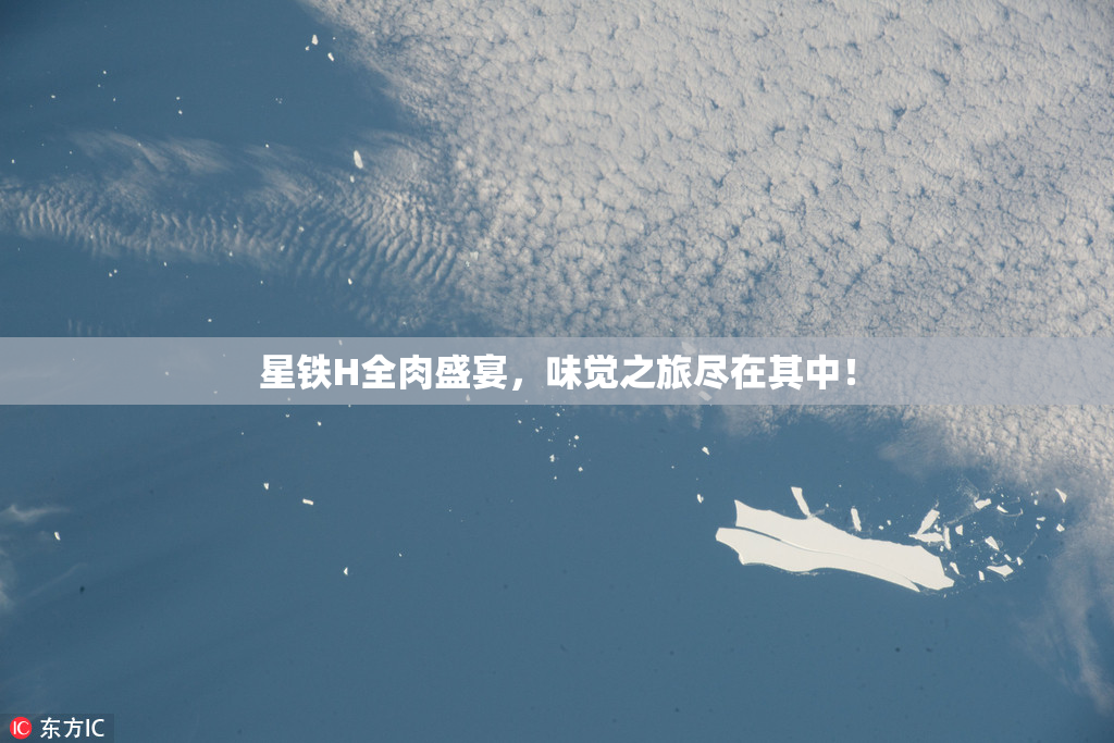 星铁H全肉盛宴，味觉之旅尽在其中！