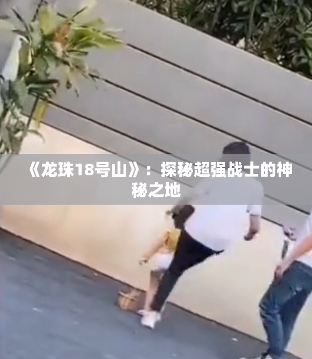 《龙珠18号山》：探秘超强战士的神秘之地