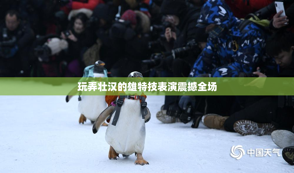 玩弄壮汉的雄特技表演震撼全场