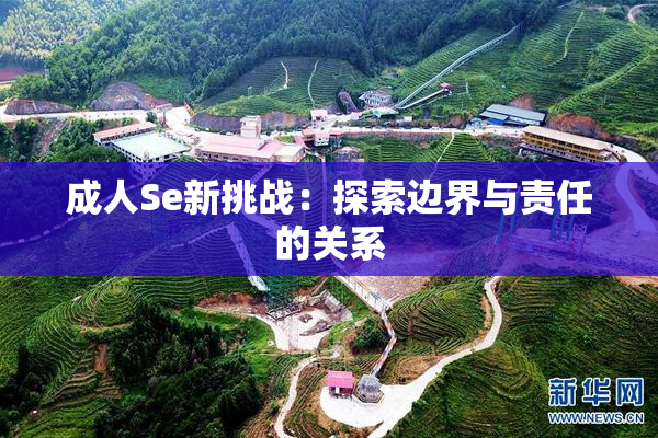 成人Se新挑战：探索边界与责任的关系