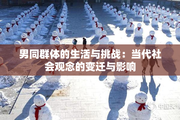 男同群体的生活与挑战：当代社会观念的变迁与影响