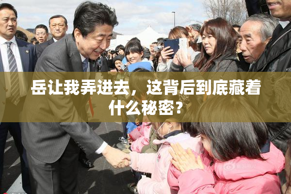 岳让我弄进去，这背后到底藏着什么秘密？