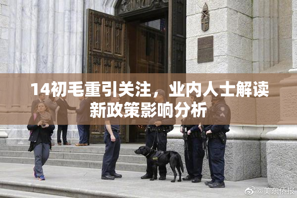 14初毛重引关注，业内人士解读新政策影响分析