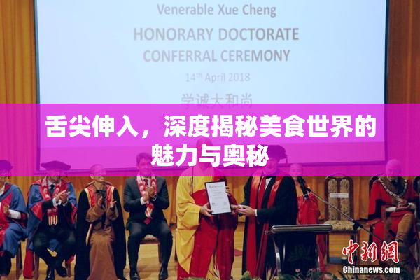 舌尖伸入，深度揭秘美食世界的魅力与奥秘