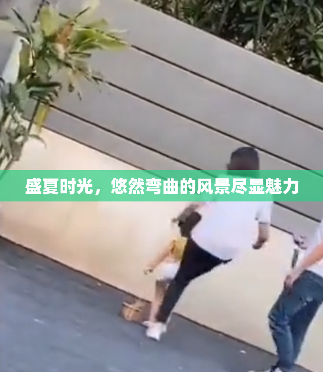 盛夏时光，悠然弯曲的风景尽显魅力