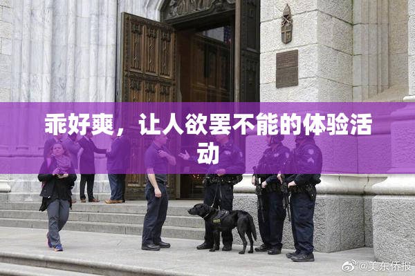 乖好爽，让人欲罢不能的体验活动