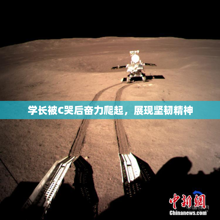 学长被C哭后奋力爬起，展现坚韧精神