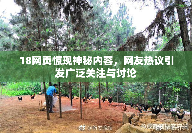 18网页惊现神秘内容，网友热议引发广泛关注与讨论