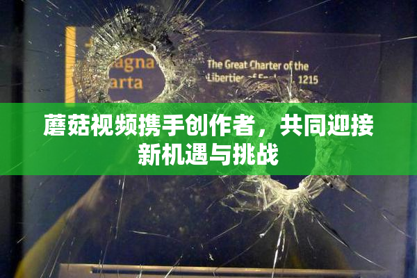 蘑菇视频携手创作者，共同迎接新机遇与挑战