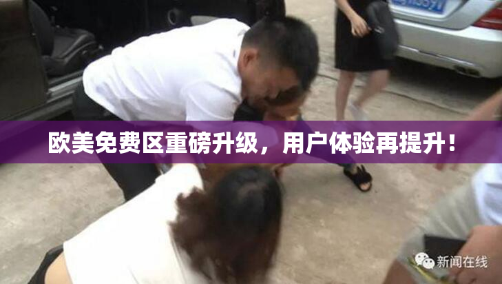 欧美免费区重磅升级，用户体验再提升！