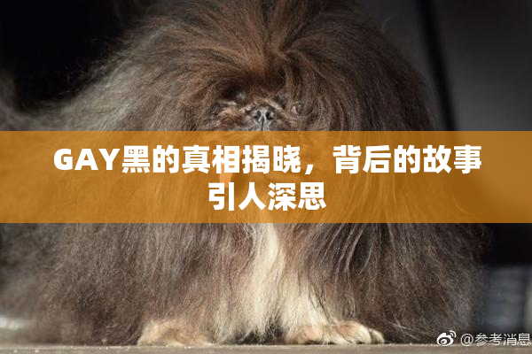 GAY黑的真相揭晓，背后的故事引人深思
