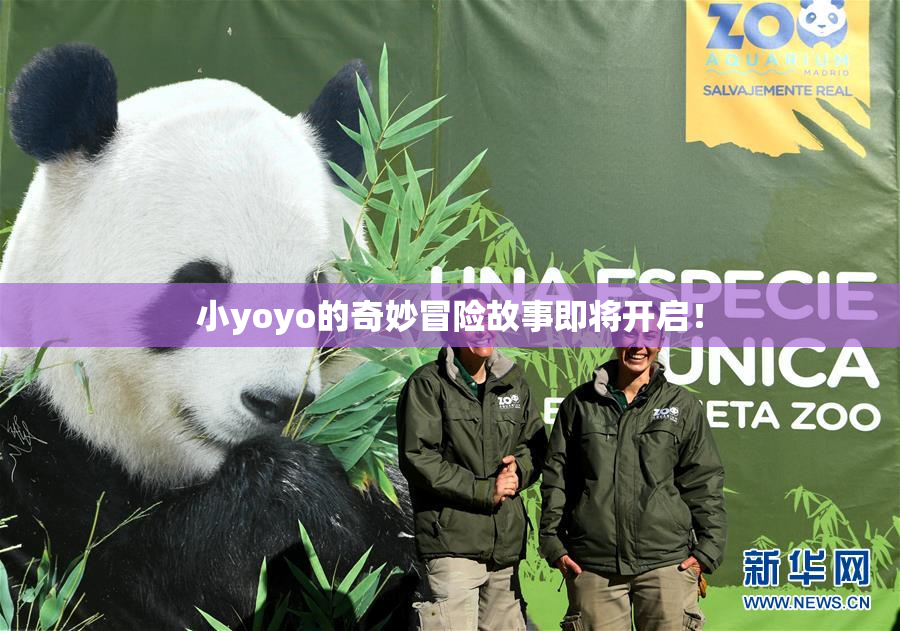 小yoyo的奇妙冒险故事即将开启！