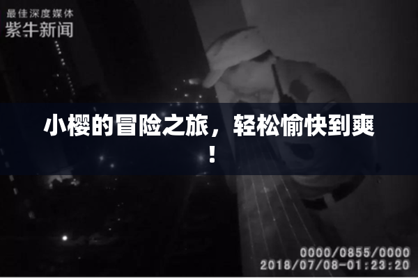 小樱的冒险之旅，轻松愉快到爽！