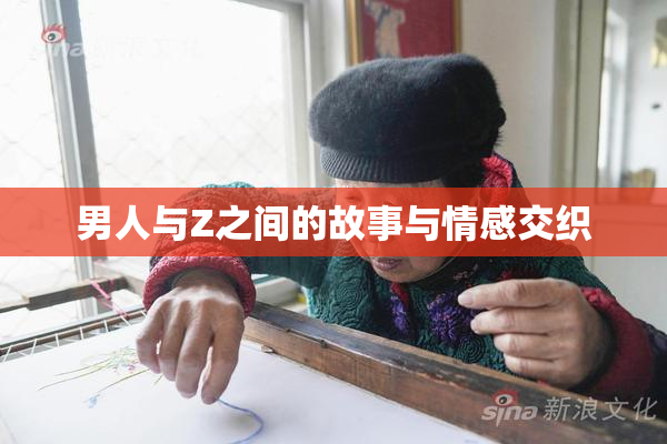 男人与Z之间的故事与情感交织