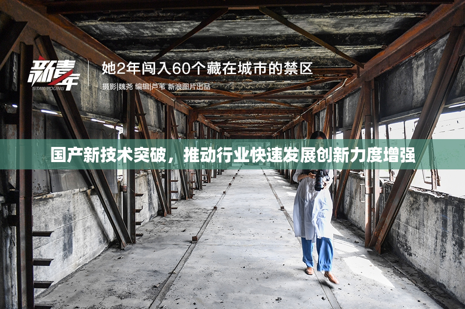 国产新技术突破，推动行业快速发展创新力度增强