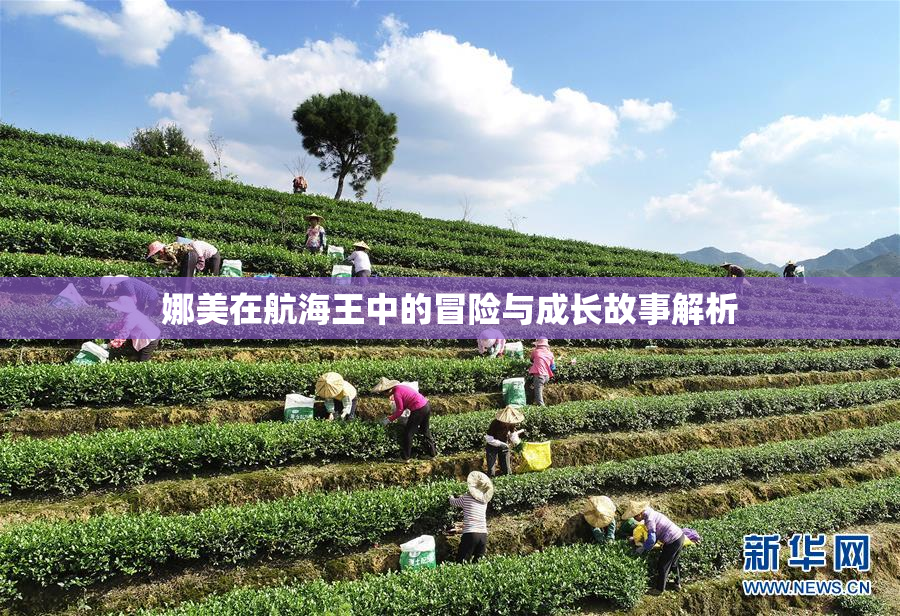娜美在航海王中的冒险与成长故事解析