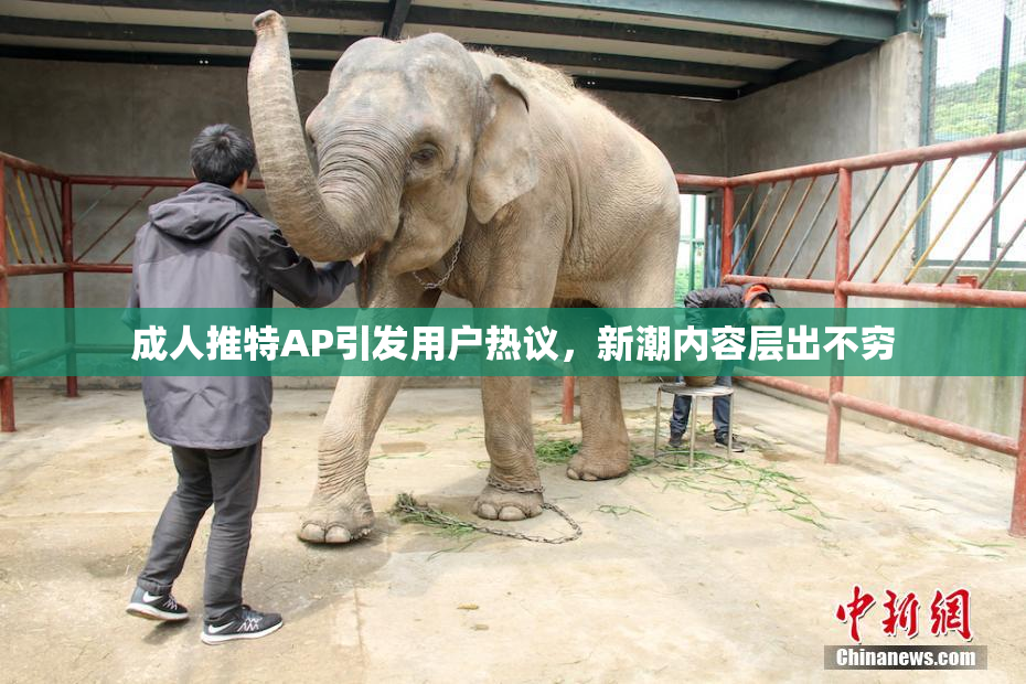 成人推特AP引发用户热议，新潮内容层出不穷